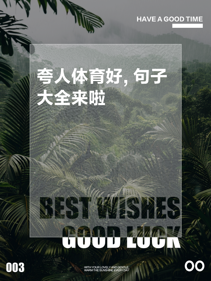 包含贵州队荣升榜首，实力无法忽视，战绩斐然的词条